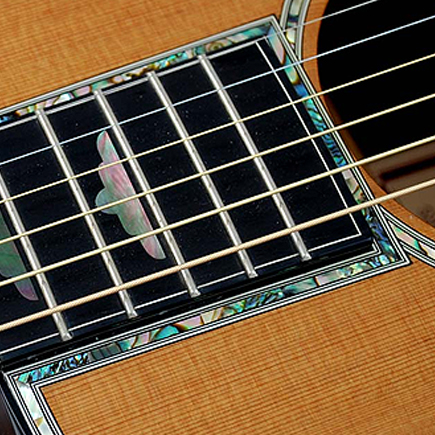 Acoustic Guitars 