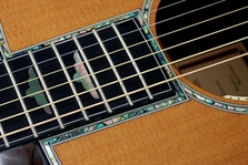 Acoustic Guitars 